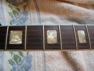 ft-335_fretboard1.JPG