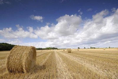 Harvest Time Again