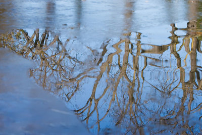 Reflection on melting pond