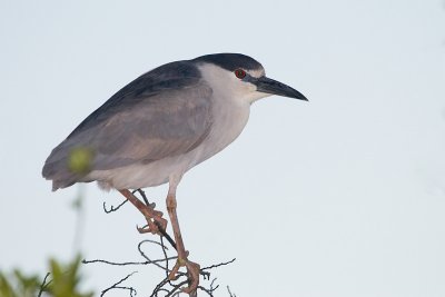 g6/53/171253/3/75637292.N5Px65dV.jpg