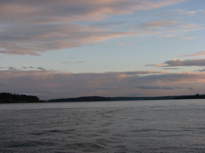 IMG_4114.JPG