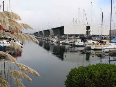IMG_4137.JPG