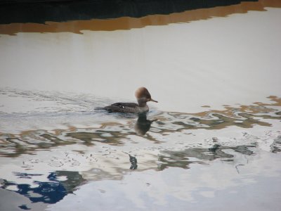 IMG_4138.JPG
