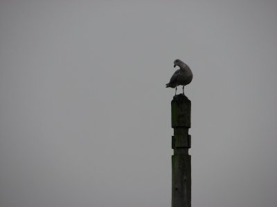 IMG_4143.JPG