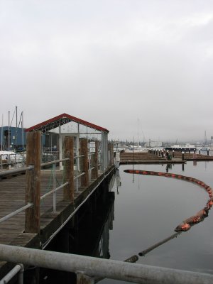 IMG_4144.JPG