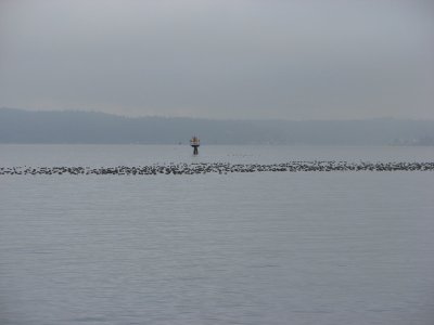 IMG_4150.JPG