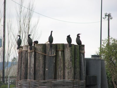 IMG_4176.JPG