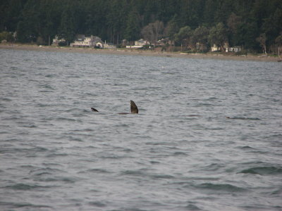 IMG_4192.JPG