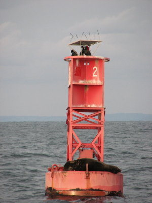 IMG_4199.JPG