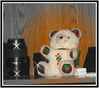 Teddybear.jpg
