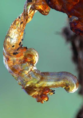 harpiksformer-resinshapes-91.jpg
