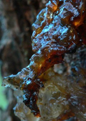 harpiksformer-resinshapes-98.jpg