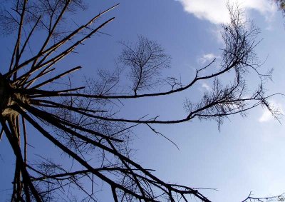 vandhimmel_watersky