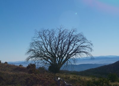 On top of Bogong