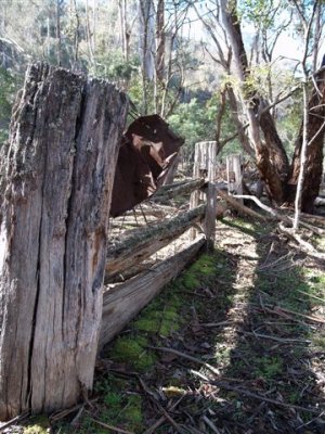 Reclaimed Ground
