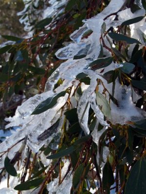 Frozen in Time