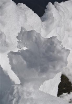 Frozen moment