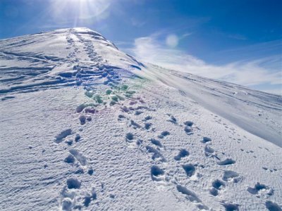 Mount Feathertop 2007