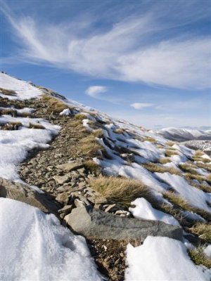 Life amongst the rock and snow