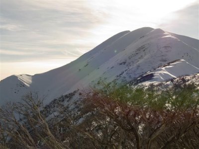 Morning view to the Summit of Feathertop