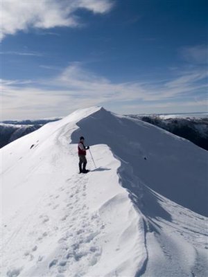 Nearing the summit