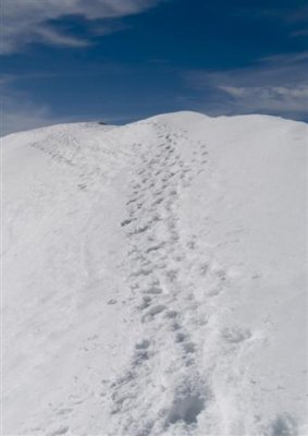 Path to the top