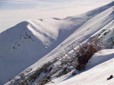 Snowboard trails