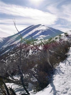 Starting the trek to the summit