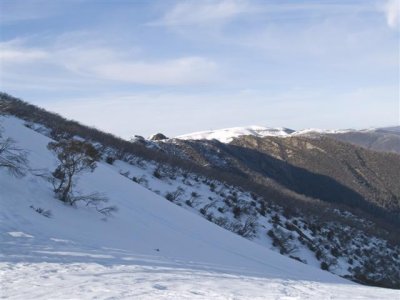 View to Mt Hotham