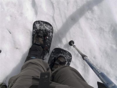 Walking on Yowie's