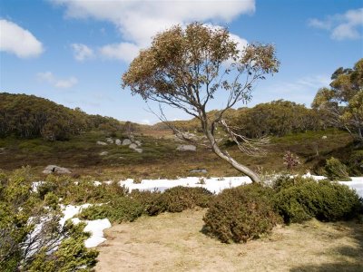 Mt St Gwinear 2007 - Overnight in Snow