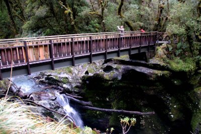On The Road to Milford Sound