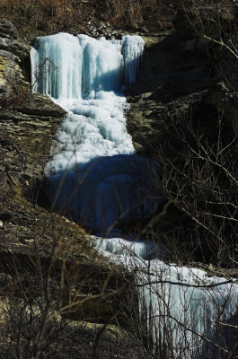 DSC_0876test-01qa.jpg