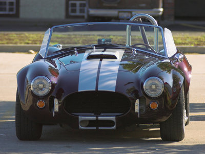 cobra01.jpg