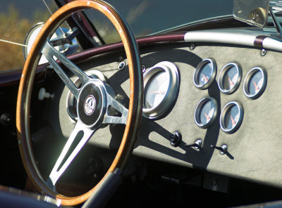 cobra02.jpg