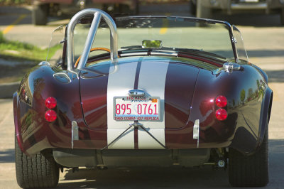 cobra03.jpg