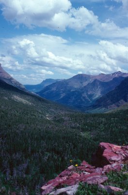 Long View into Glacier National Park