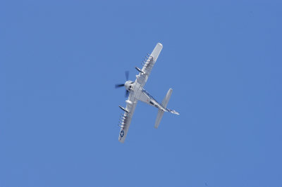 Douglas AD (A-1) Skyraider