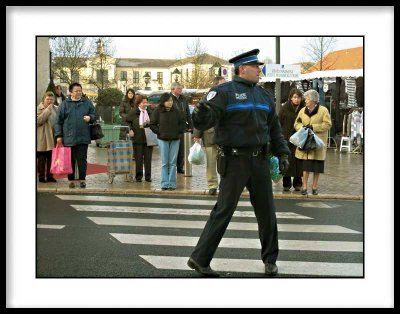 Pedestrian Crossing Performance