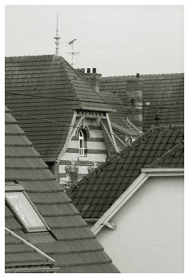 Neighbourhood Roofs