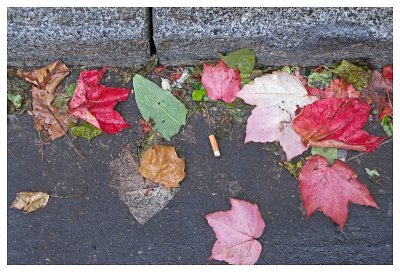 Autumn Chaos in the Gutter