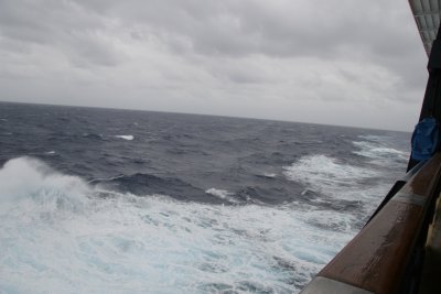 IMG_3486.JPG
