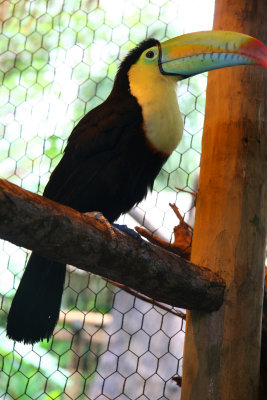IMG_3759.JPG