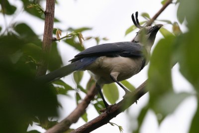 IMG_3864.JPG