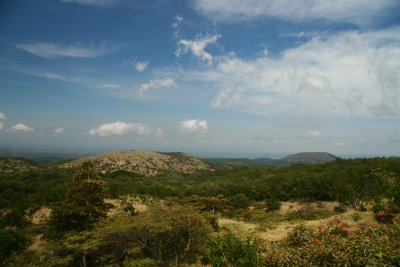 IMG_3882.JPG