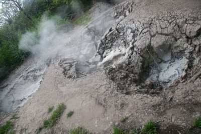 IMG_3999.JPG