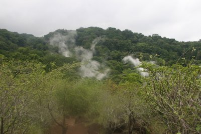 IMG_4010.JPG