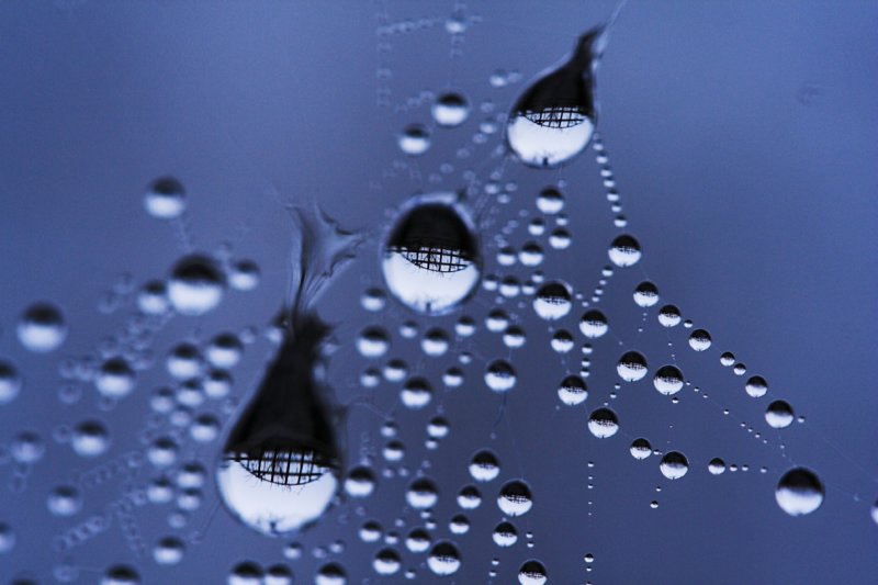 3 drops