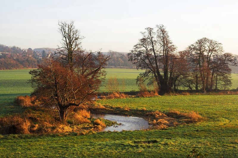 Winding river