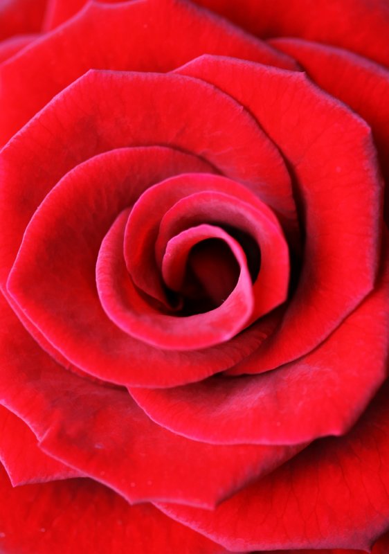 14 February - romantic...